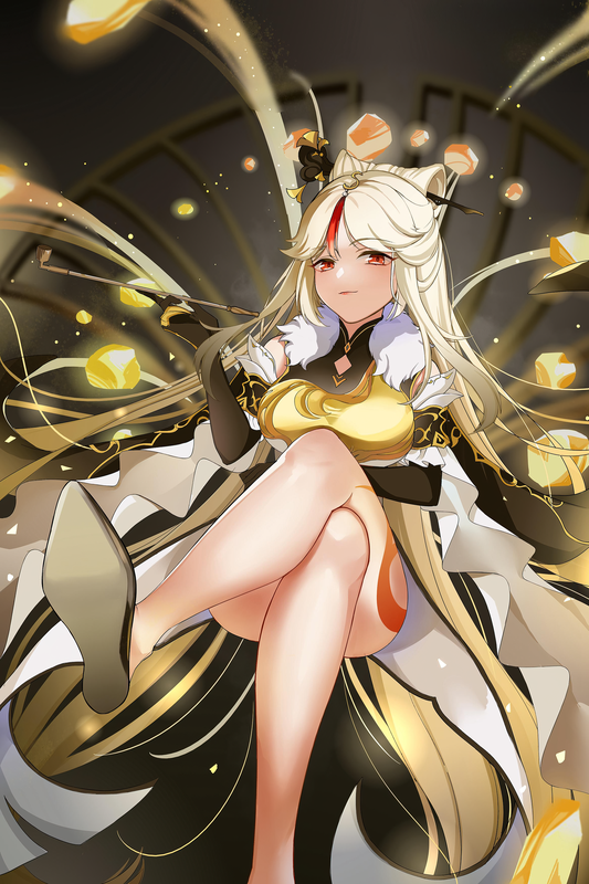フォトコレクション